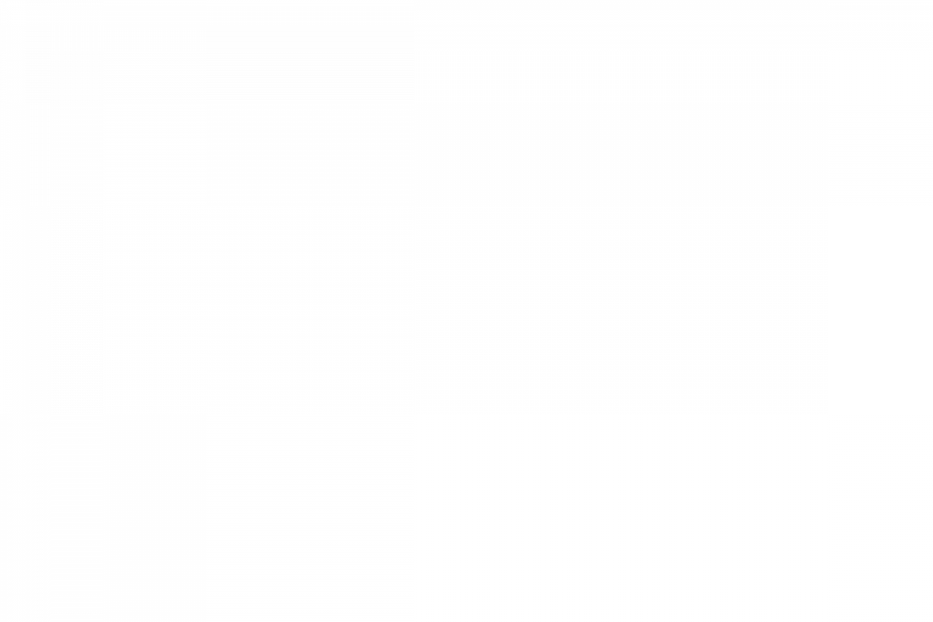Form Image